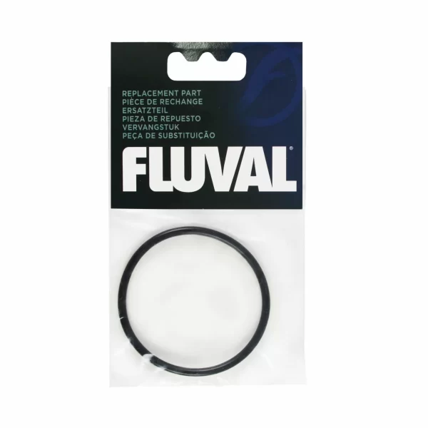 Motor Ring for FX2/FX4 Canister Filter