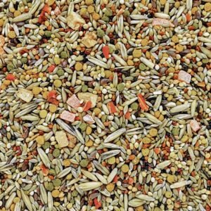 B2791-B2793-Gourmet_Budgie_FoodSquare-2048x2048-1