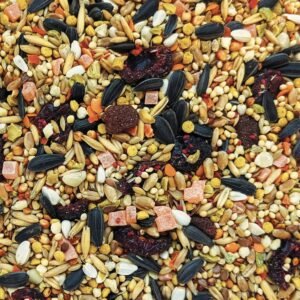 B2801-B2803-Gourmet_Cockatiel_FoodSquare-2048x2048-1