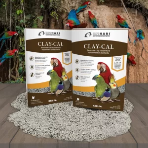 Claycal_Beauty2a-2048x2048-1