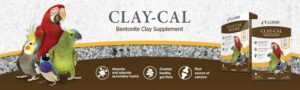 Claycal_banner_1500x450_EN