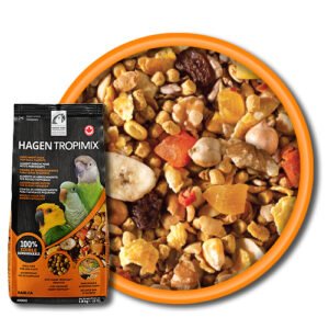 Food-Circles-80641_Updated2020 (1)