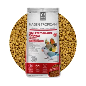 Food-Circles_wBagMiddle-80526-High-Perf-2-mm-2048x2048-1