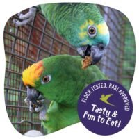 Foragers_SocialMedia_2_FlockApproved_Chilli_EN_Web-e1655738187944