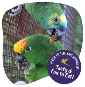 Foragers_SocialMedia_2_FlockApproved_Chilli_EN_Web-e1655738187944