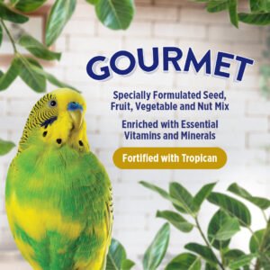Gourmet_Callouts_BIRD_Budgie_1080x1080_EN
