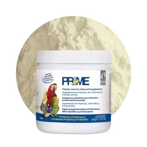 Prime-82107-Container-PRODUCT-OOP2_Web