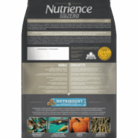 SZ-Dog-Northern-Lakes-2-247x296