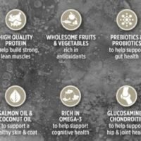 SZ-Dog-Northern-Lakes-4-247x296