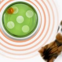 Senses-Ball-Dome_Pixi-walking-past-247x296