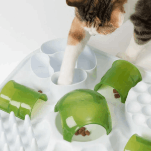 Senses-Treat-Puzzle-key-feature-Hunting-made-fun.jpg