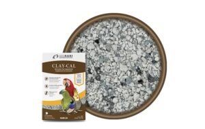 claycal_800x500