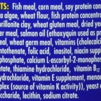 imgi_177_71RX8ZmFcL._AC_SL1007_