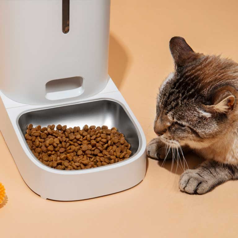 Cat feeder