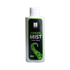 Green-Mist-PNG