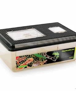 Second image of Exo terra Small Pals/ Faunarium XX-Large