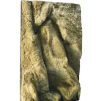 PT2602_04-247x296 (2)