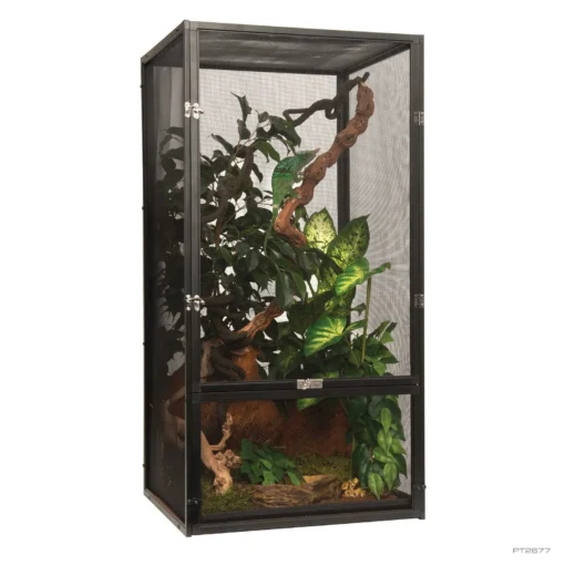 Screen Terrarium
