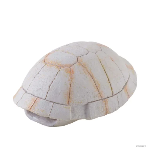 Exo-terra Decoration