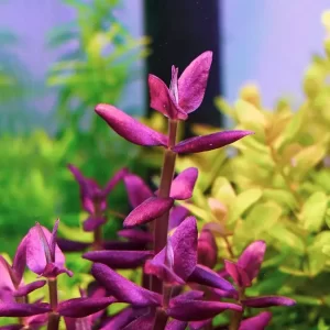 Screenshot_20230114-1010022