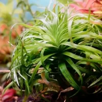 Screenshot_20230926_155430_Gallery