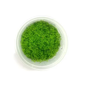 Tishu_product_07-1