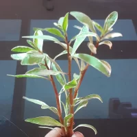 WhatsApp-Image-2023-10-19-at-13.10.04