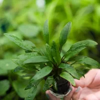 WhatsApp-Image-2024-11-03-at-23.13.47