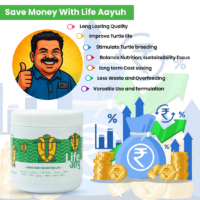 AdultTurtle100G_2_-10_51303879-b9d5-4b77-80df-0726b25cacf3