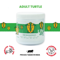 AdultTurtle100G_2_-1_5844bc65-5cdc-4754-a6f5-0e8d2fa67820
