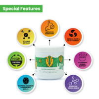 AdultTurtle100G_2_-5_c9ed0595-ffc2-490e-87ae-6169b050cd18