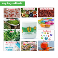 AdultTurtle100G_2_-9_eb91730d-b3c5-4292-b873-0c1ac7e64484