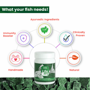 AlgaeWaffer_45gm_1_-02