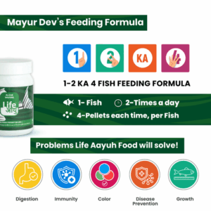 AlgaeWaffer_45gm_1_-04