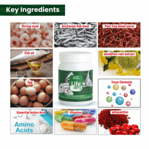 AlgaeWaffer_45gm_1_-09