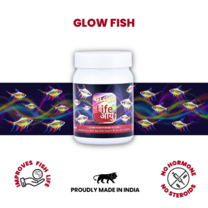 Glowfish_1_-1
