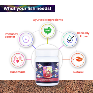 Glowfish_1_-2