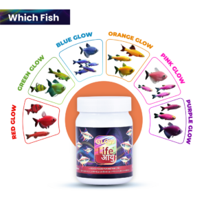 Glowfish_1_-8