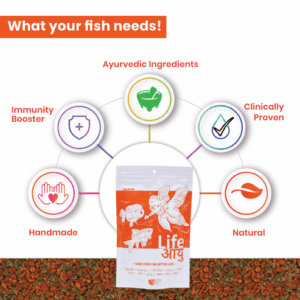 GoldFishSmall100G-02