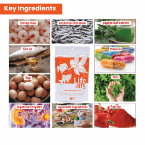 GoldFishSmall100G-09