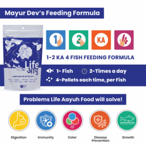 NeturalFoodSmall100G-04