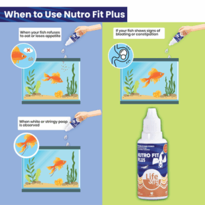 Nutrofitplus20ml-08_031a880c-9d47-4a42-9d51-a72f4061b3de