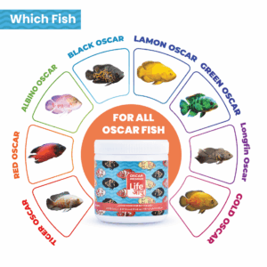 Oscar100G-08