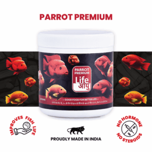 PARROT100G-01