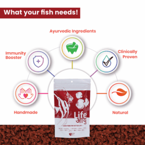 RedFoodLarge100G-02