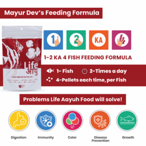 RedFoodLarge100G-04