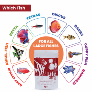 RedFoodLarge100G-08