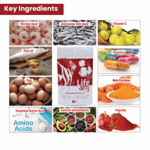 RedFoodLarge100G-09