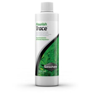 flourish-trace.jpg