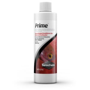 prime.jpg